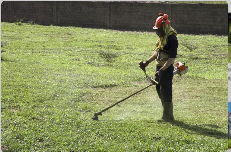 Property Maintenance Services